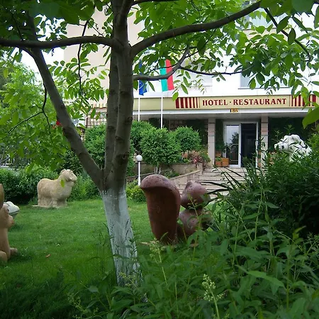 Mg