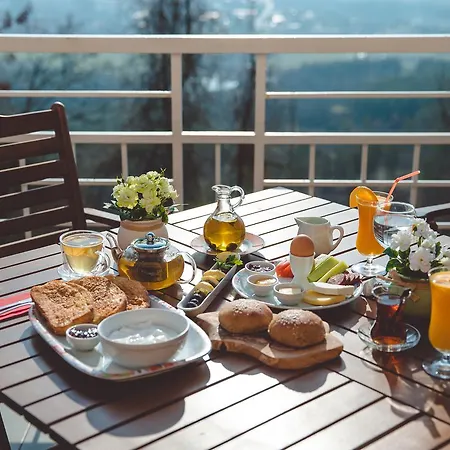 Θέρετρο Mg Momchilgrad