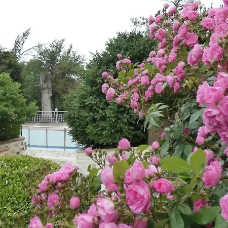 Resort Mg